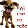/album/photogallery/lud-sam-po-teb-jpg/